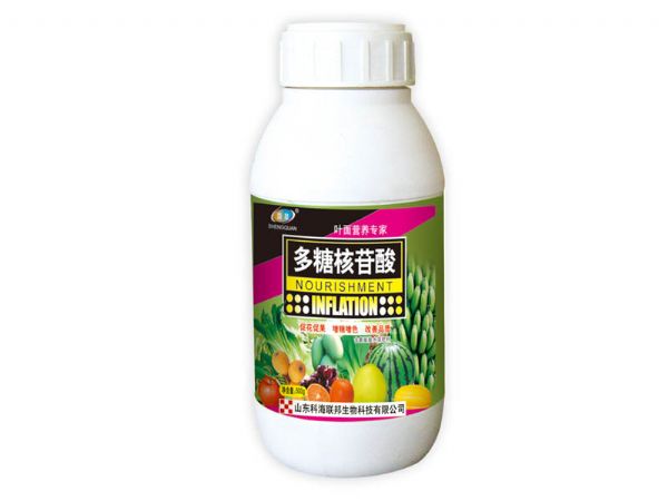 多糖核苷酸.jpg
